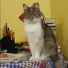 Отзыв от Эмма Касаткина